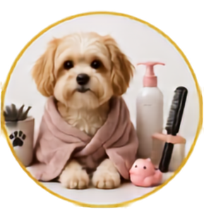 Pet Grooming