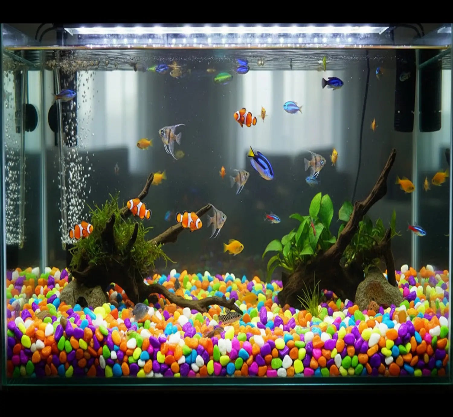 Decoration Pebbles Stones (Multicolor, 2000 g)