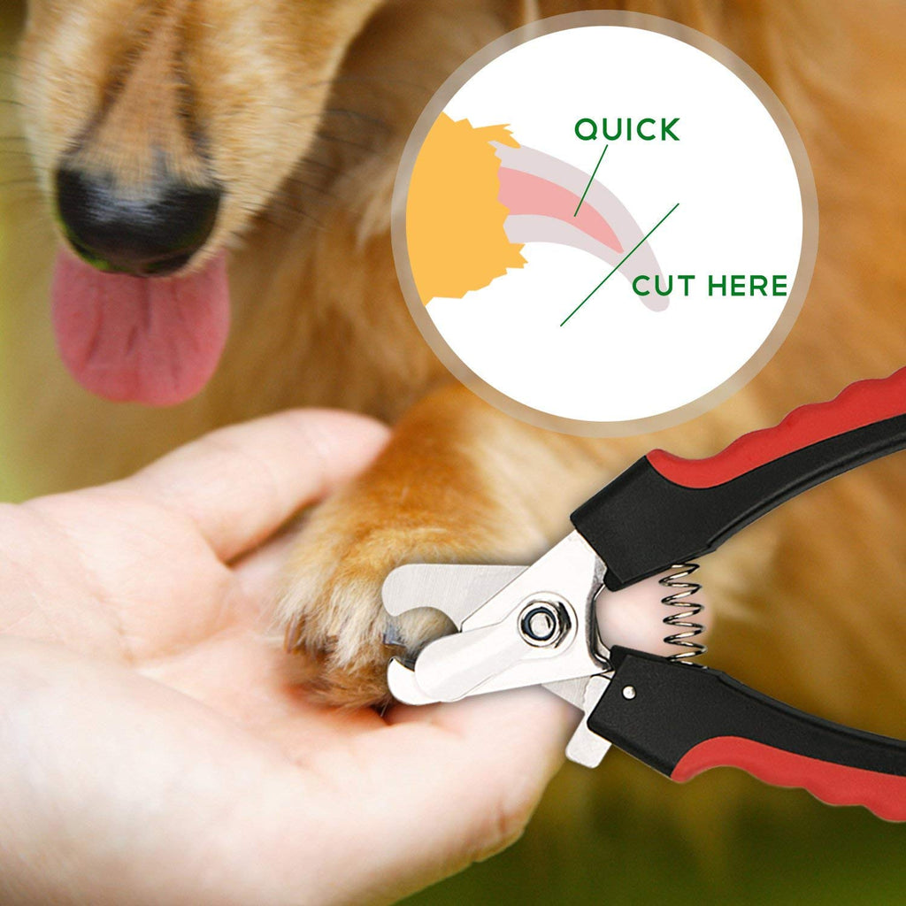 Nail Cutter for Dog (Multicolor)