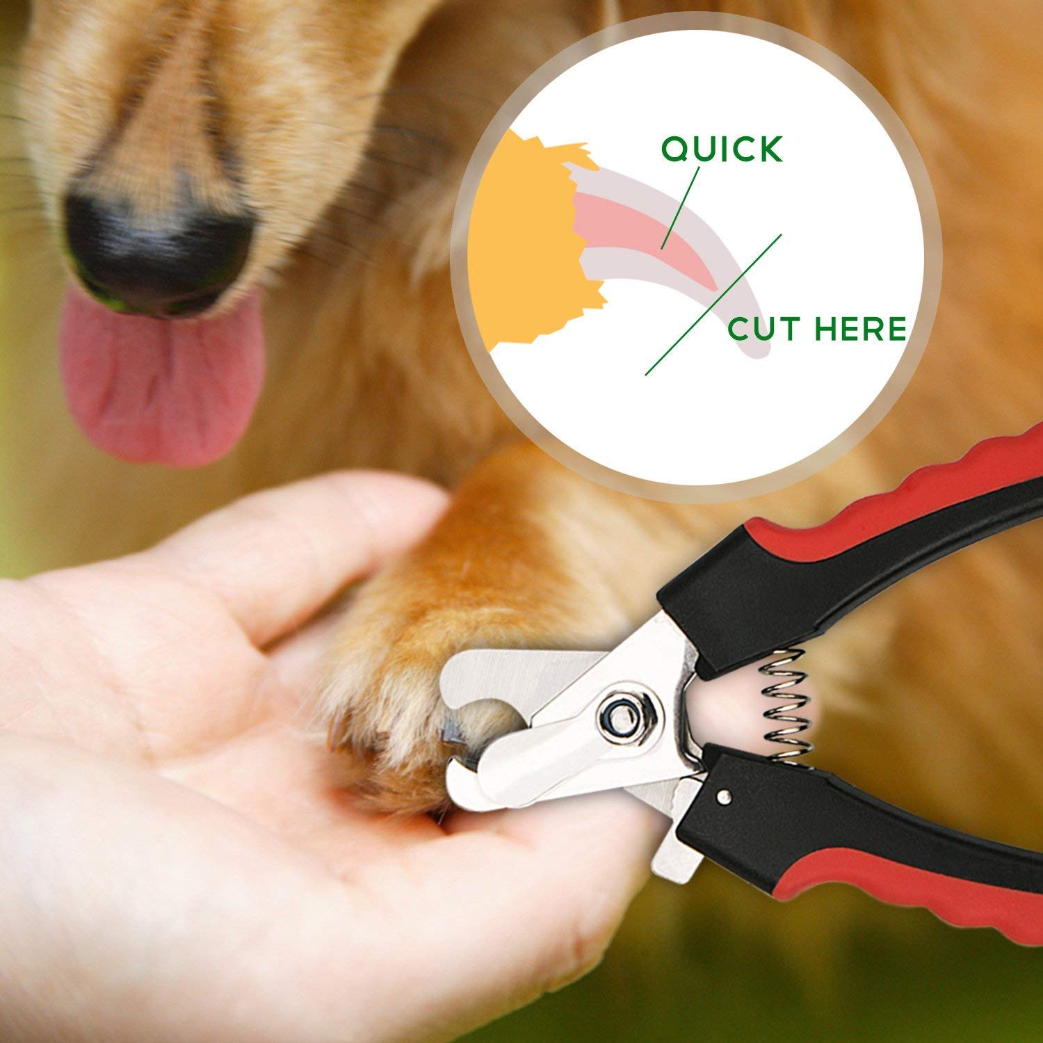 Nail Cutter for Dog (Multicolor)