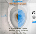 Toilet Cleaning Agent 100 gm (Pack of 2)
