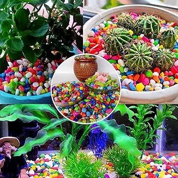 Decoration Pebbles Stones (Multicolor, 3000 g)